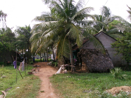 Village of Tatapudi.